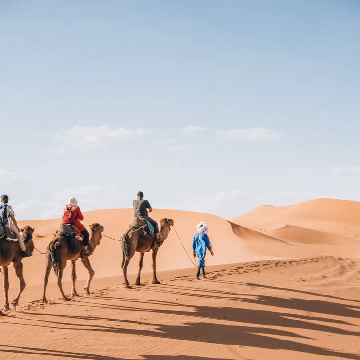 Desert Experience & Camel Trekking